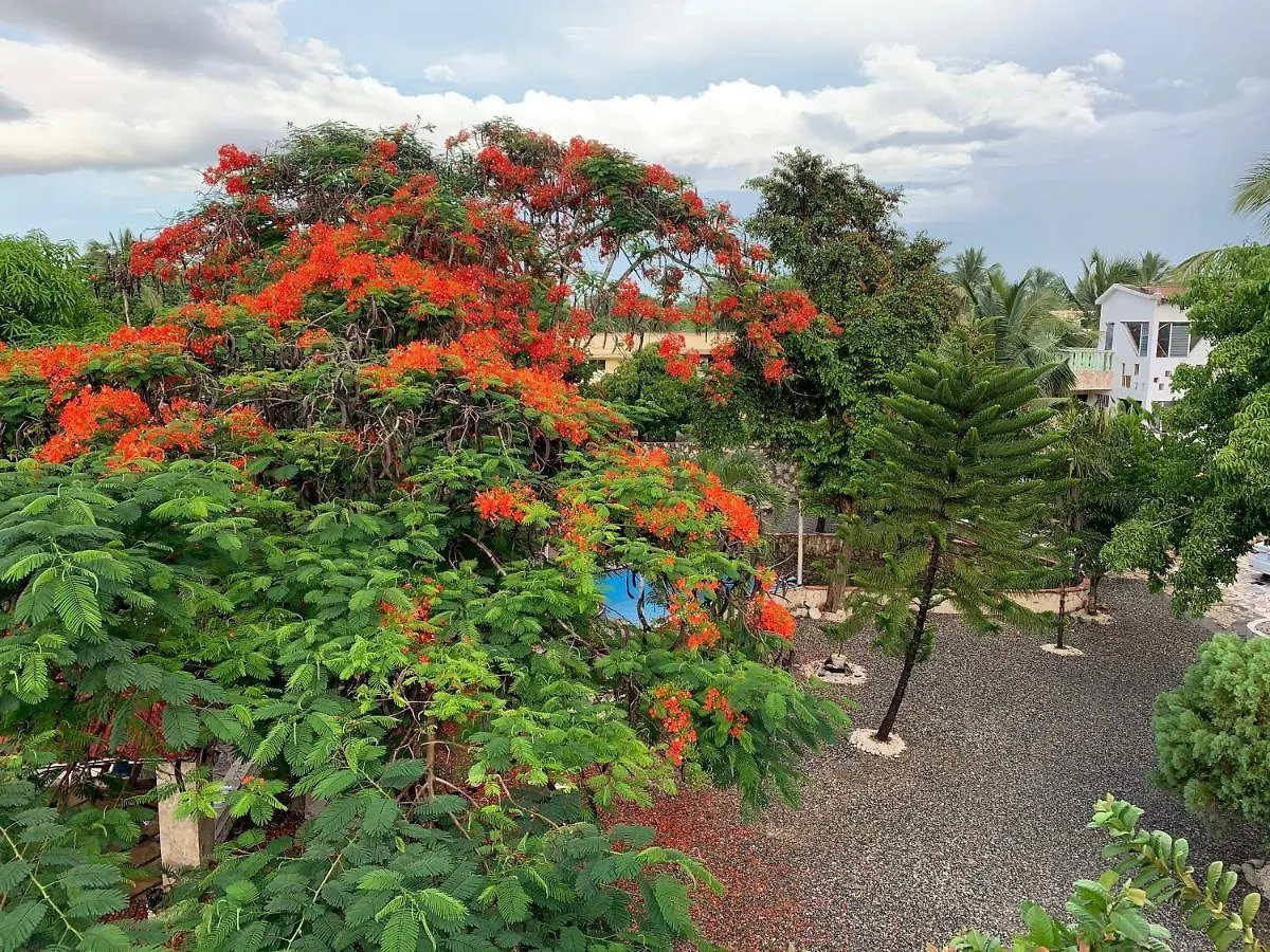 Villa Marcia Boca Chica 0*,  Dominican Republic